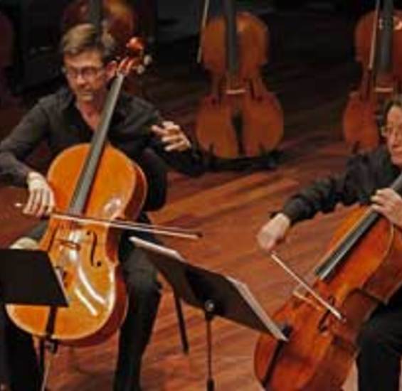 Artist normal duo szatmahy prochac2